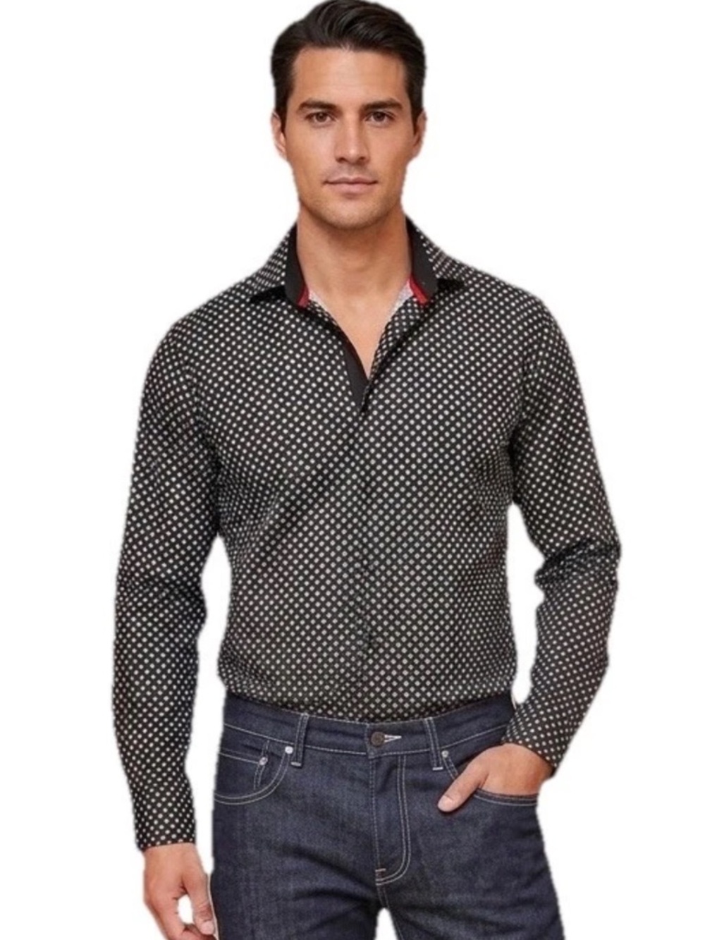 Silver Stone Collection Modern Fit Button Down L